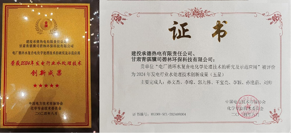 1725254916844451.jpg 11.jpg