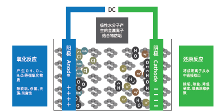 1735897508497283.png 2.png